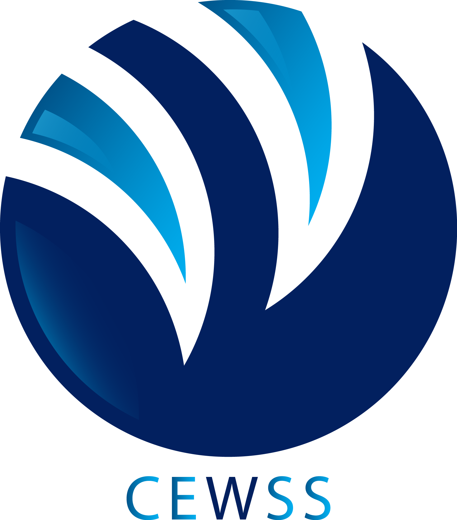 logo cewss